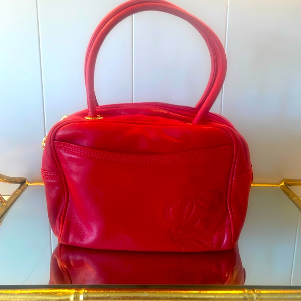 Loewe Lambskin cherry red mini bag with pocket 🍒